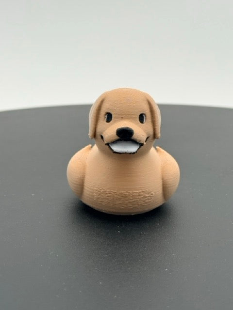 Labrador Duck