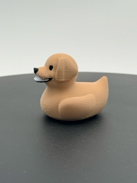 Labrador Duck