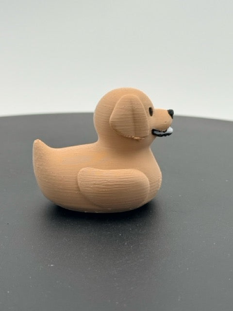 Labrador Duck