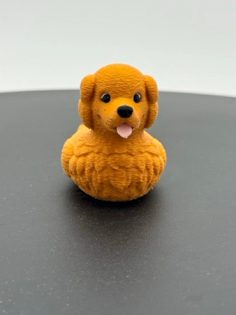 Golden Retriever Duck