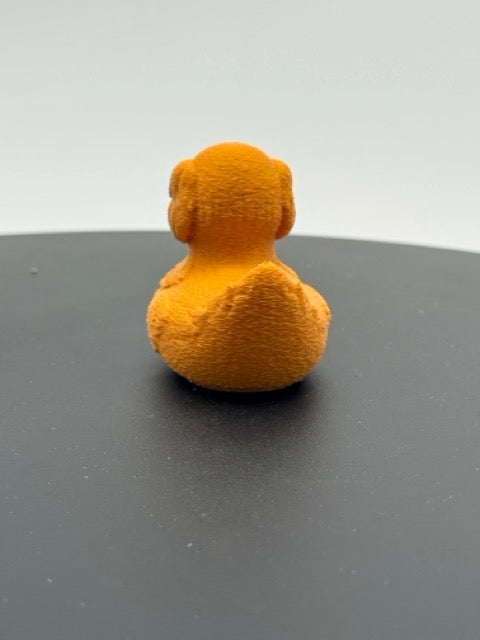 Golden Retriever Duck