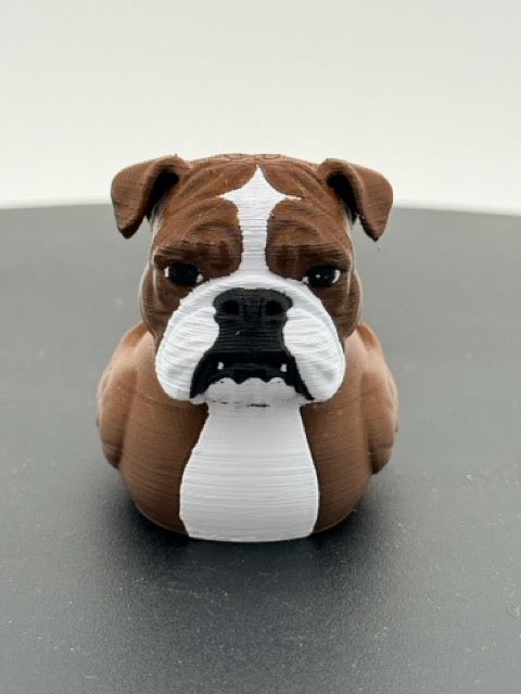 English Bulldog Duck