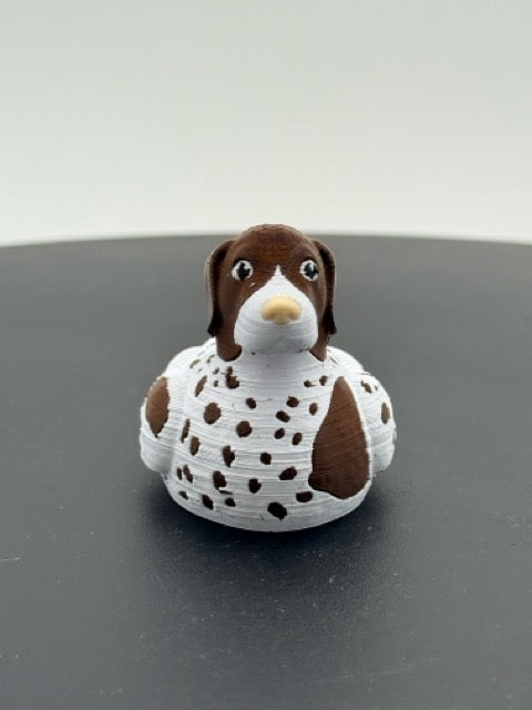 German Shorthaired Duck