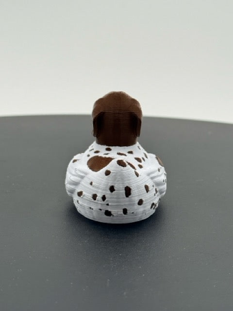 German Shorthaired Duck