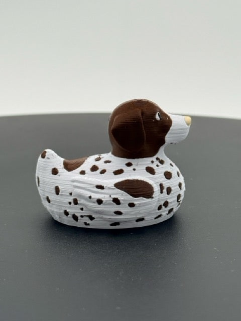 German Shorthaired Duck