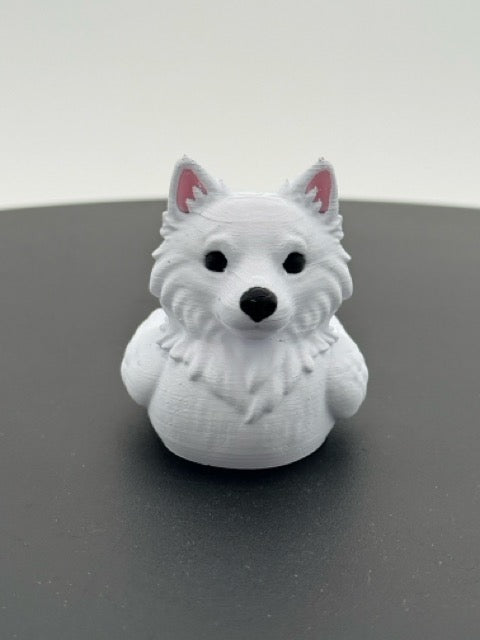 American Eskimo Duck