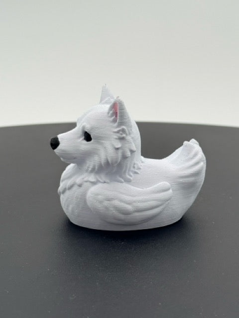 American Eskimo Duck
