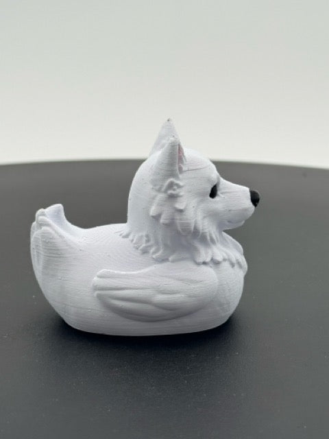 American Eskimo Duck