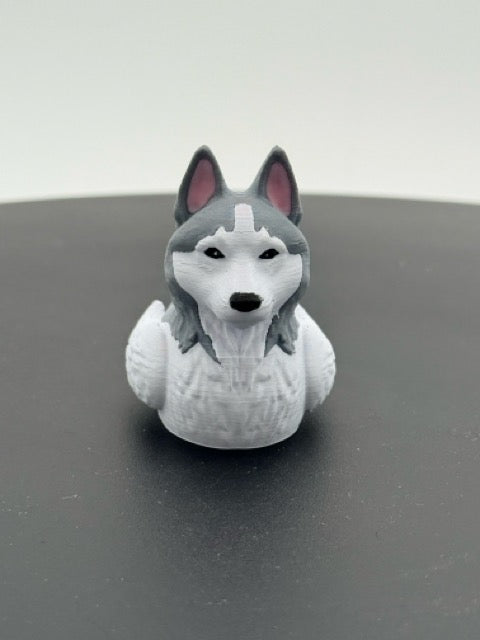 Siberian Husky Duck