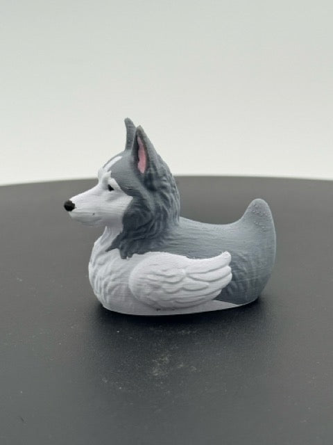 Siberian Husky Duck