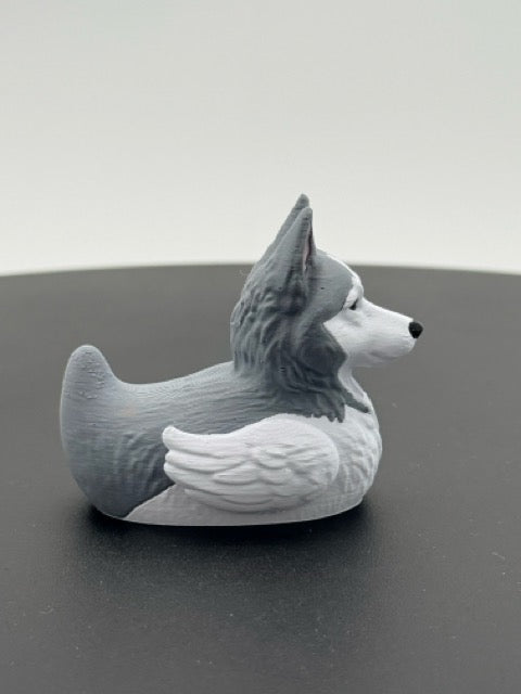Siberian Husky Duck