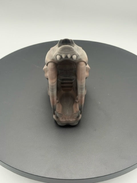 Sabertooth Skull