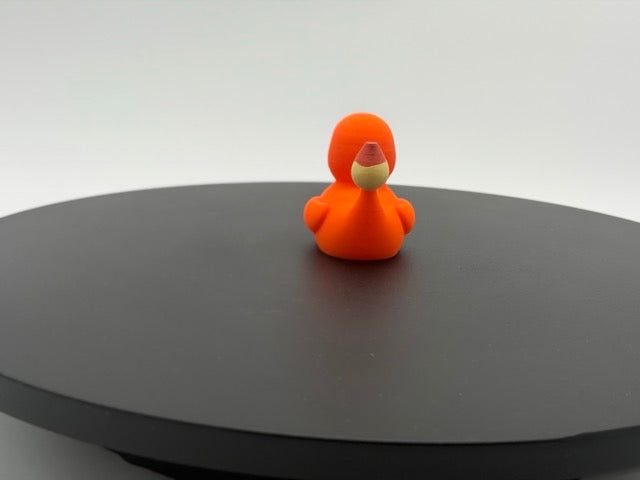 Charmander Duck
