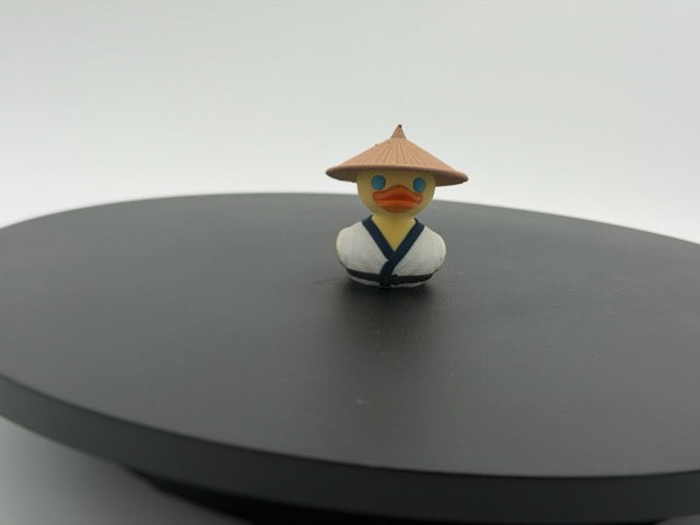 Raiden Duck