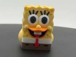 Sponge Duck