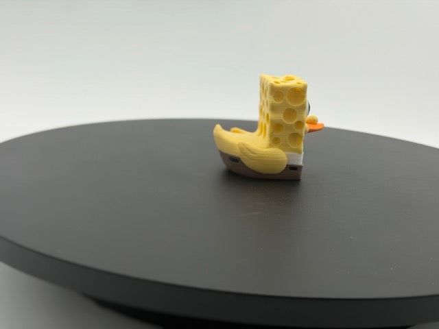 Sponge Duck
