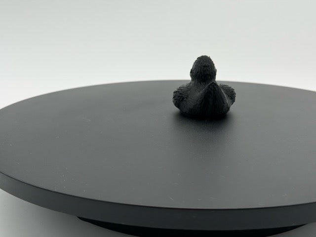 Kin Kun Duck King Kong Duck – Kinship Concepts & Solutions