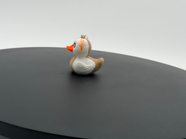 Gizmo Duck