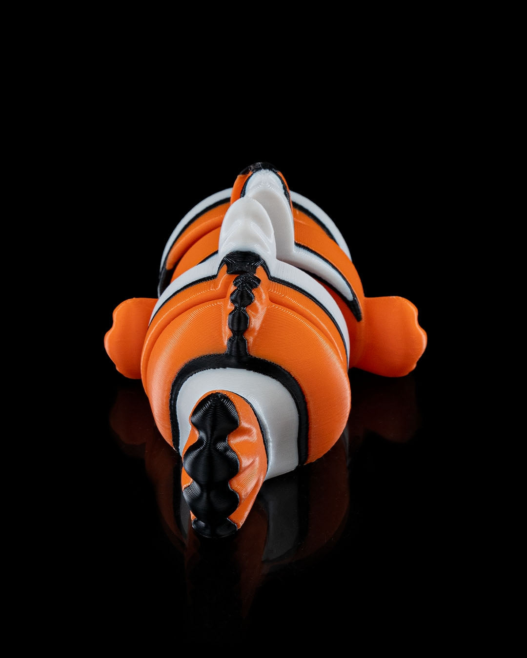 Clownfish