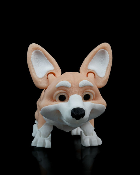 Rufus the Corgi