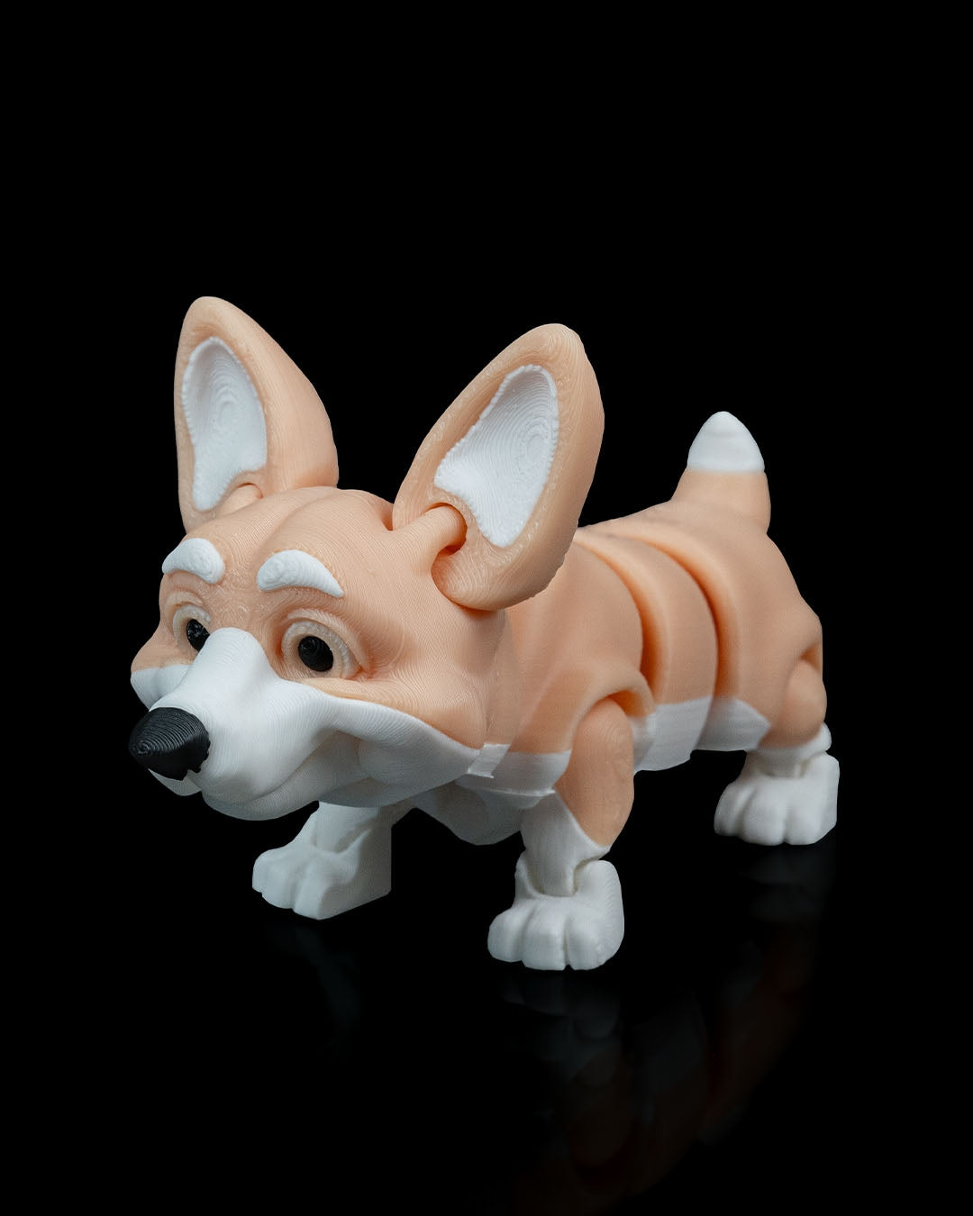 Rufus the Corgi