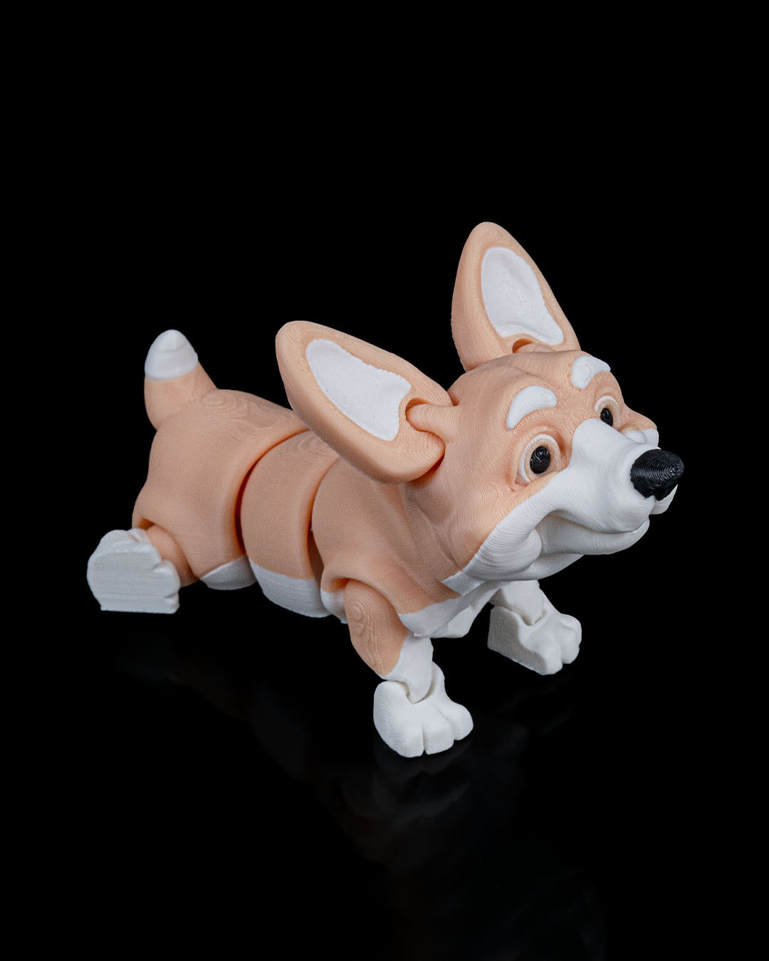 Rufus the Corgi