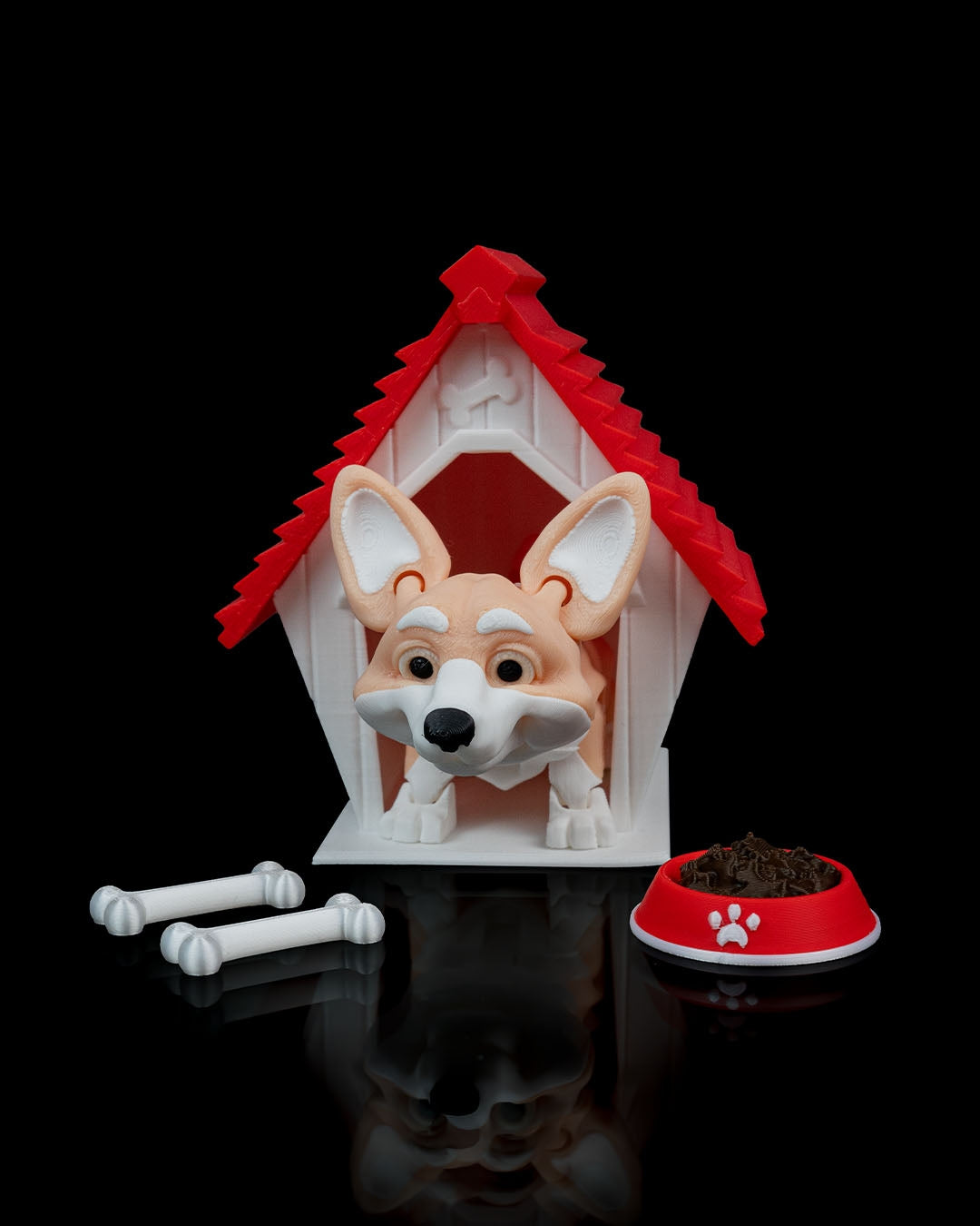 Rufus the Corgi