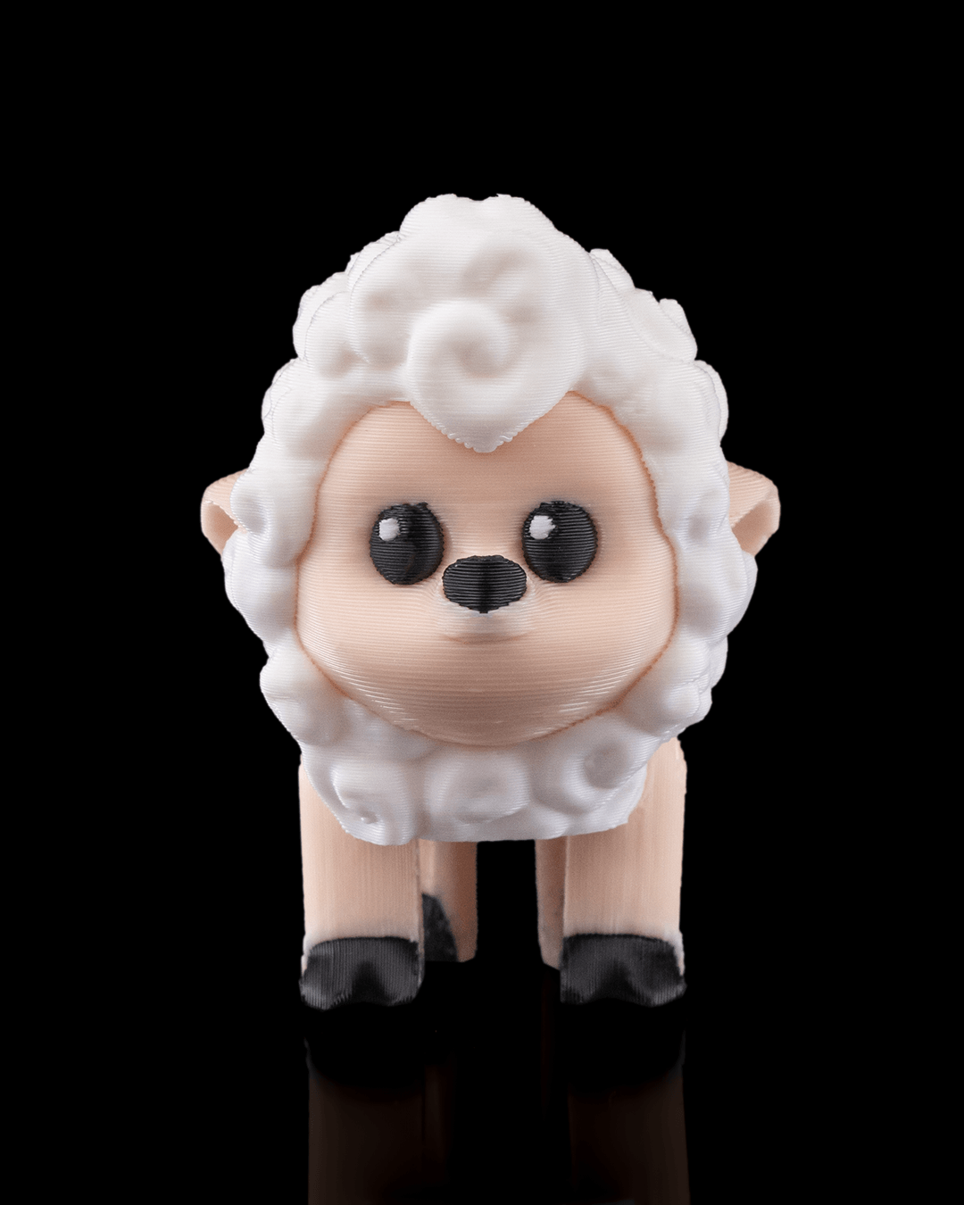 Shane the Sheep