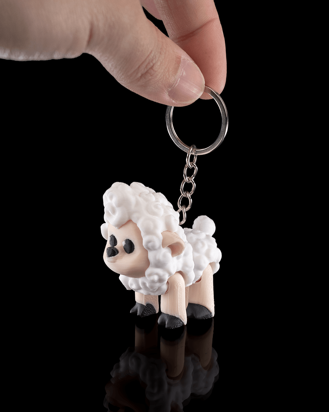 Shane the Sheep