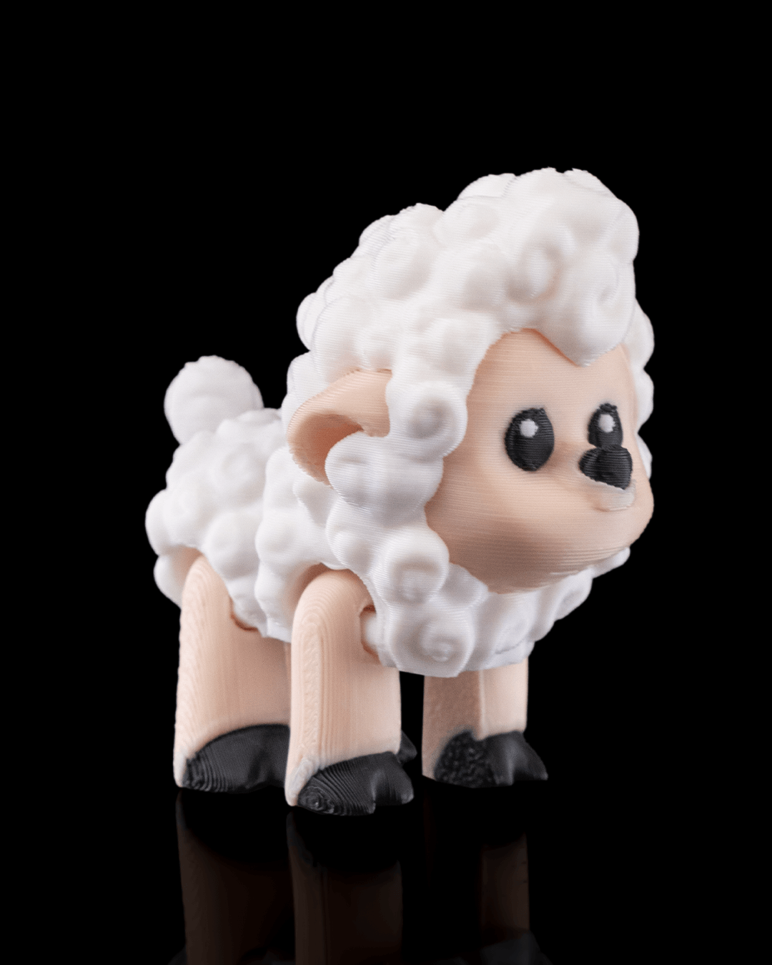 Shane the Sheep