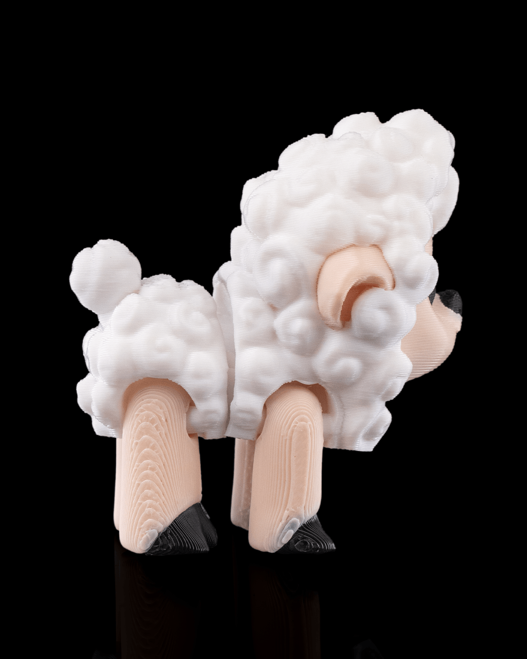 Shane the Sheep