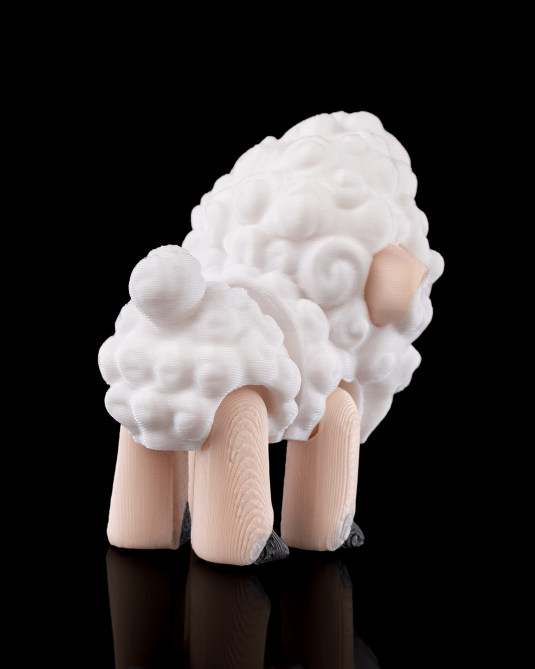 Shane the Sheep