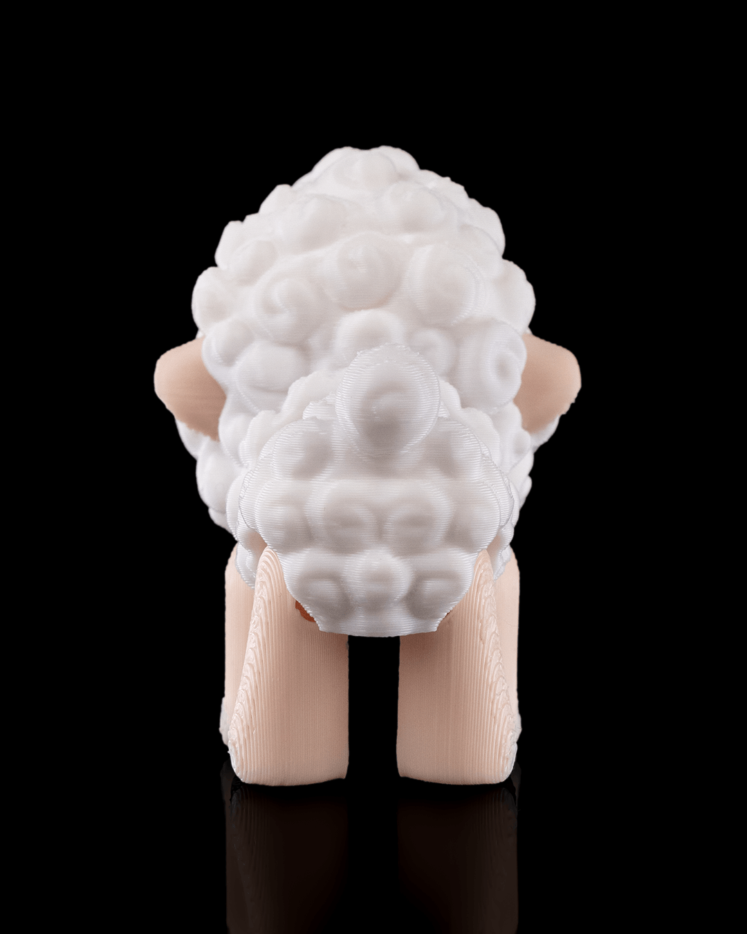 Shane the Sheep