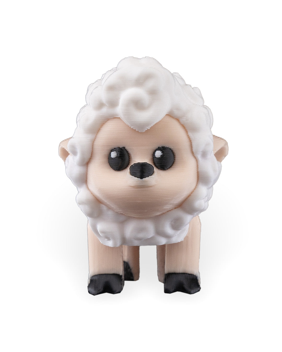 Shane the Sheep