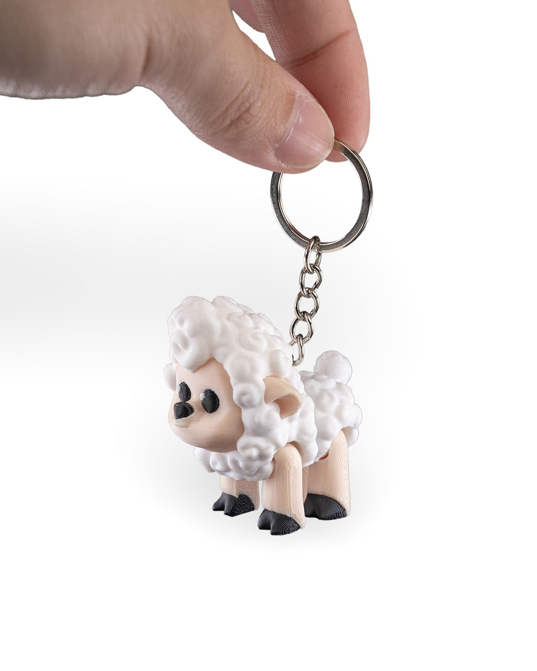 Shane the Sheep