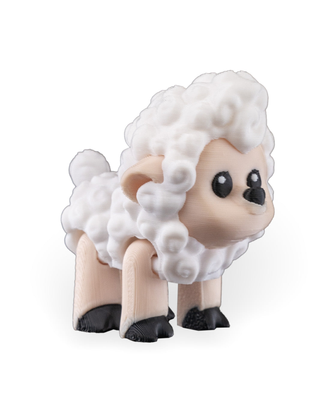 Shane the Sheep