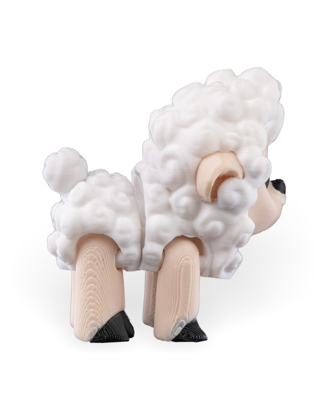 Shane the Sheep