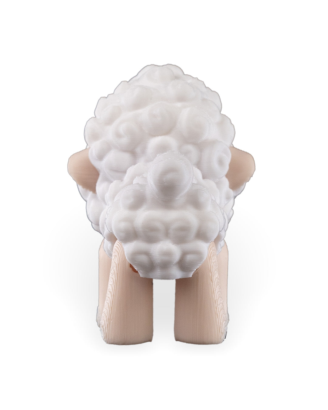 Shane the Sheep