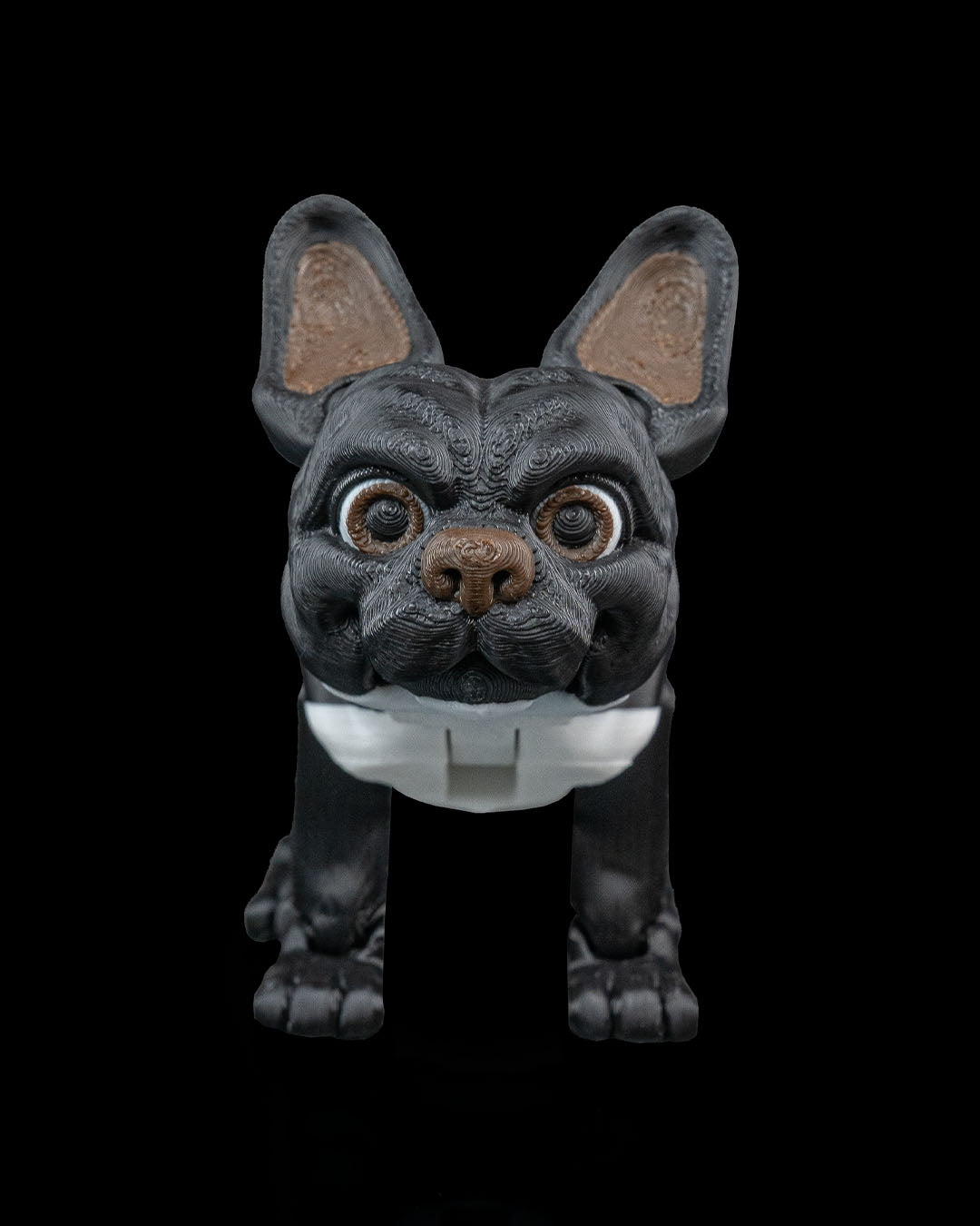 Stella the French Bulldog