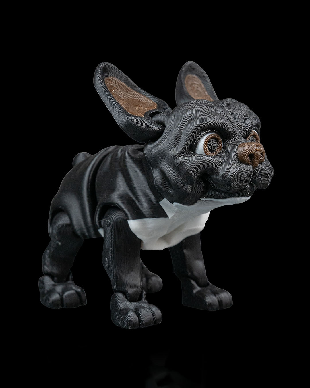 Stella the French Bulldog
