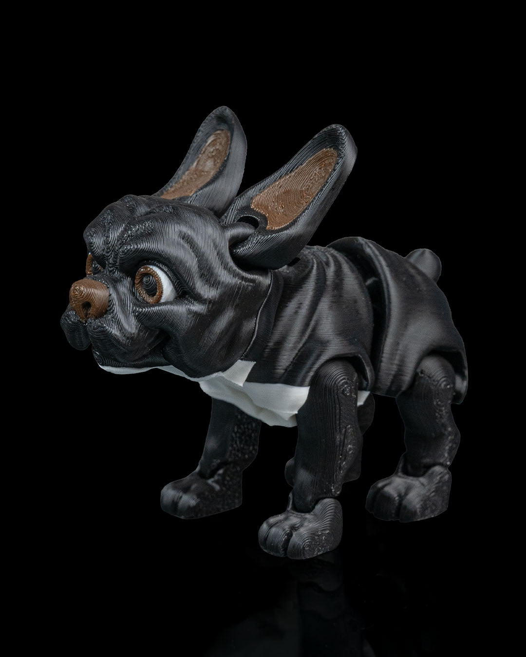 Stella the French Bulldog