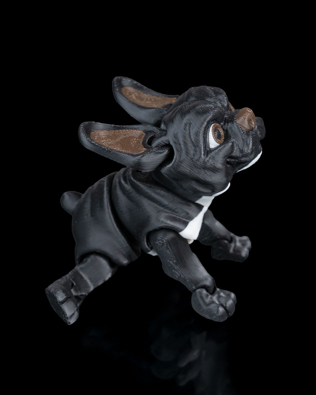 Stella the French Bulldog