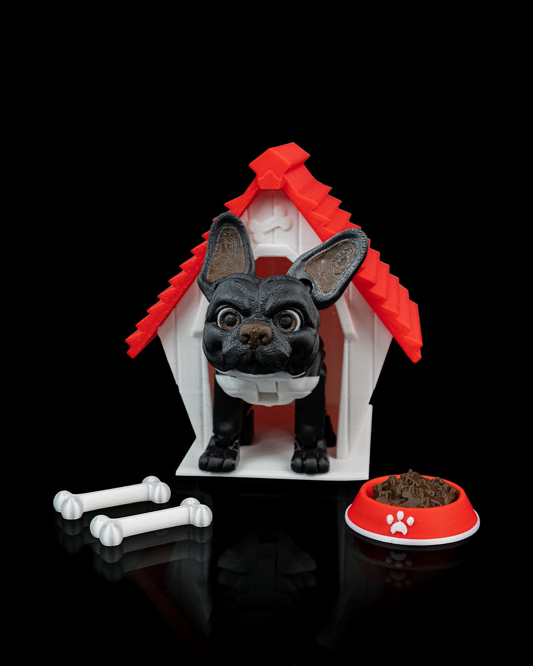 Stella the French Bulldog