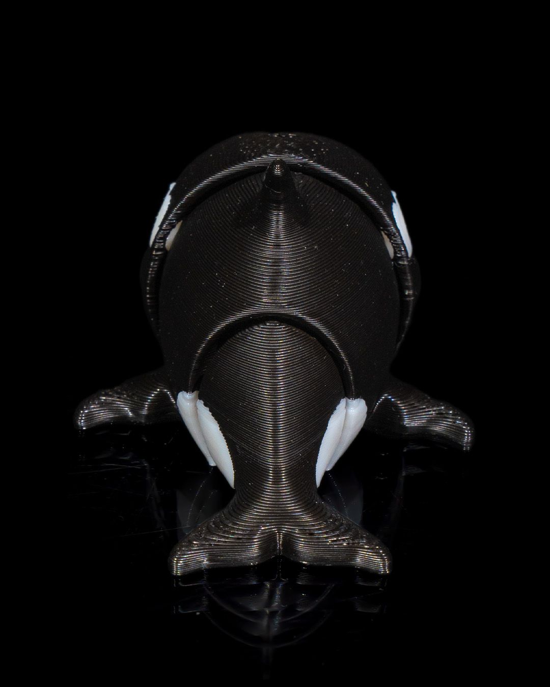 Orca