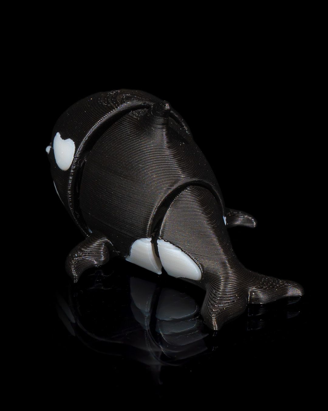 Orca