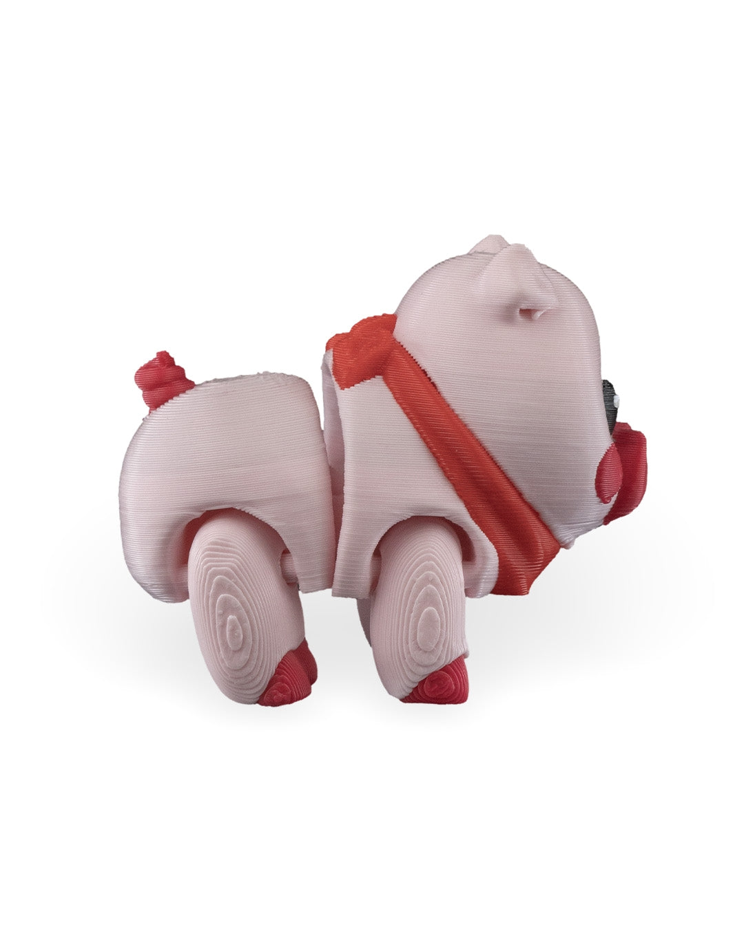 Willow the Pig